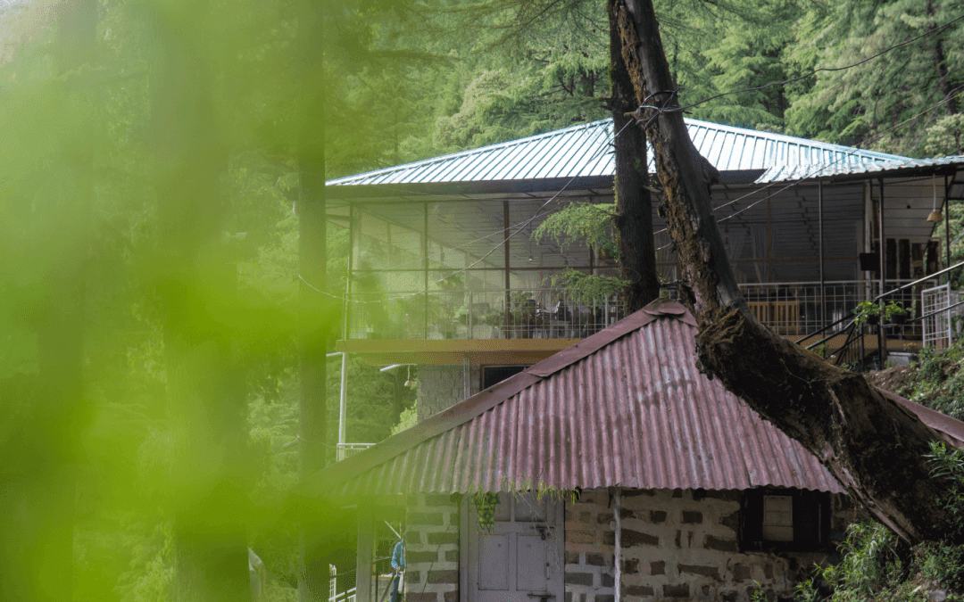 Morning view of the Dhauladhar mountains from Dharamkot Studio balcony.