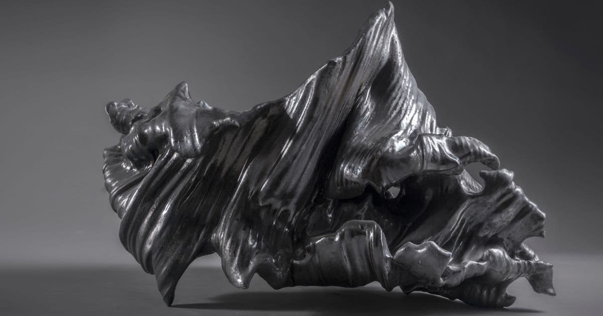 Fragments of nature inspiring Jakub Biewald's work.