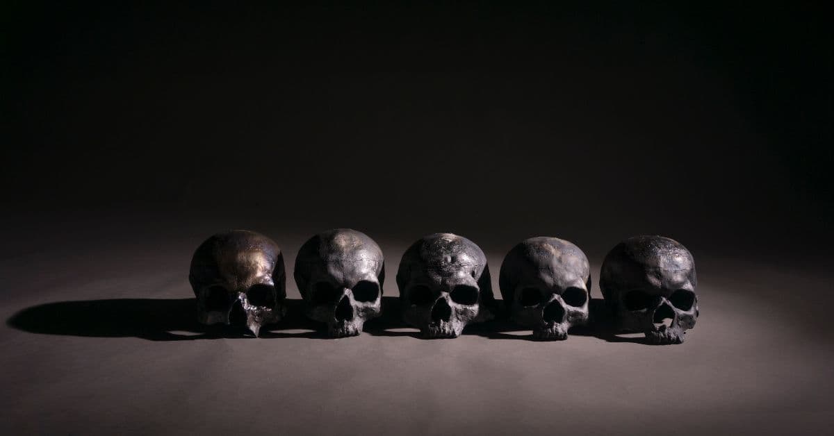 Jakub Biewald's work at Dharamkot Studio.