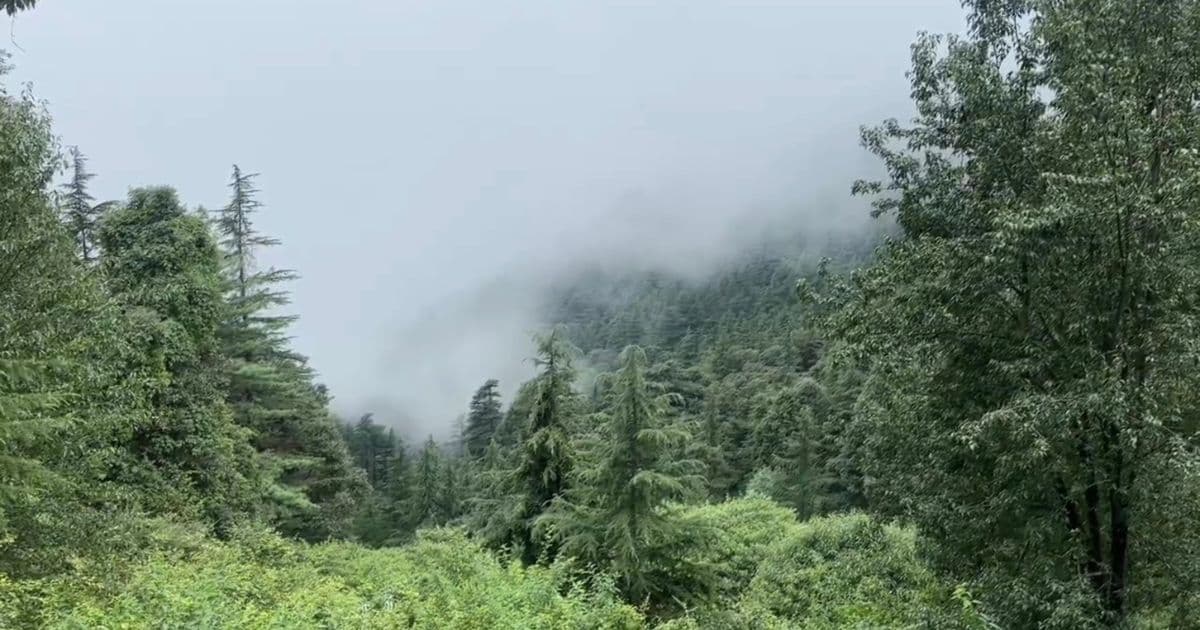 Dharamkot Studio pottery retreats as part of the larger movement toward creative wellness travel.
