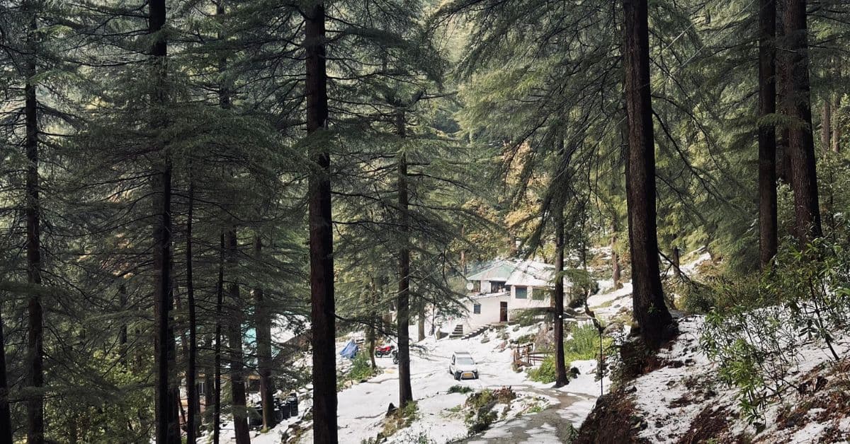 Snowy morning at Dharamkot Studio, Dharamshala, Himachal Pradesh.