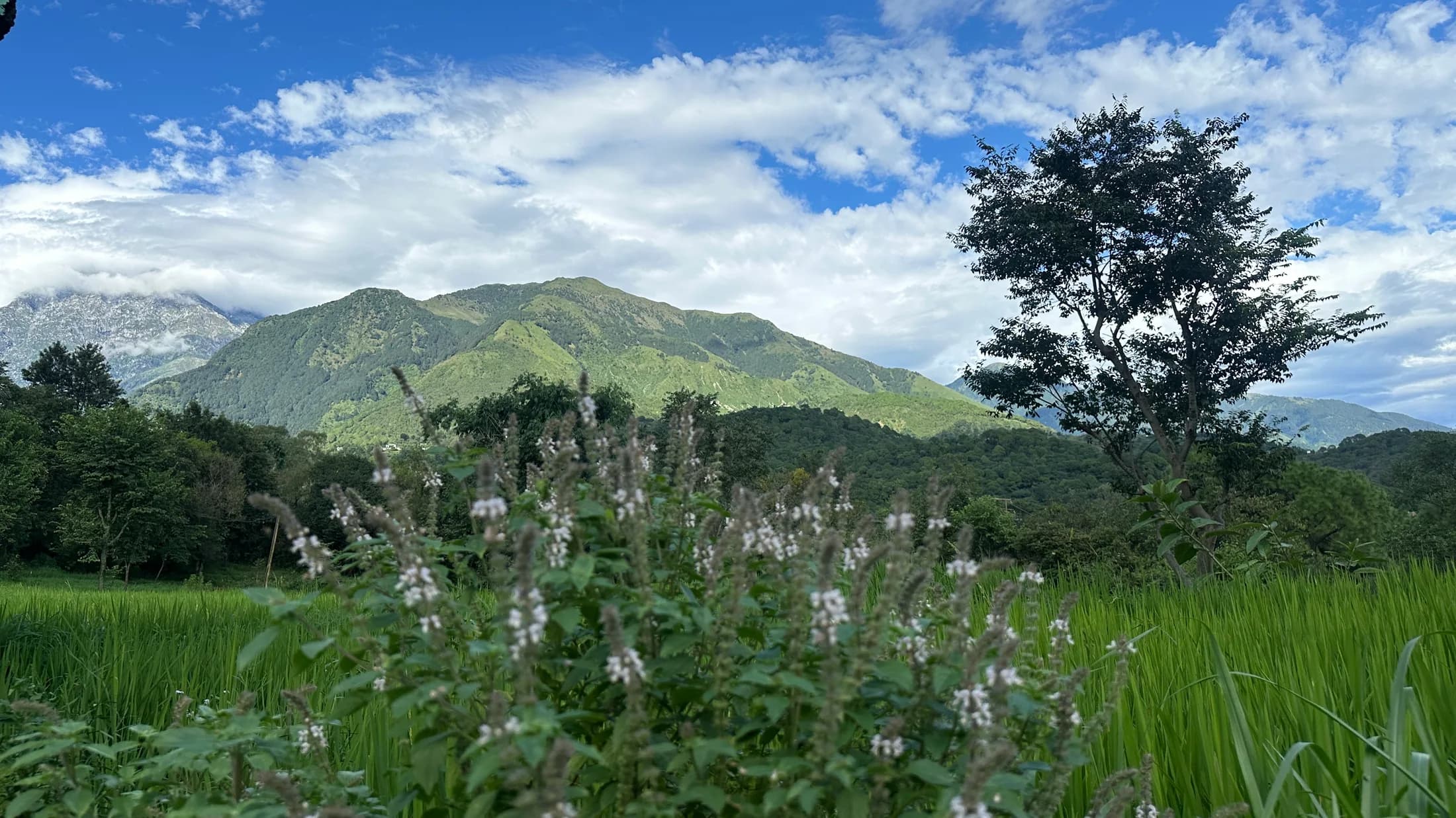 Dharamkot Studio's mountain pottery space in Himachal Pradesh.