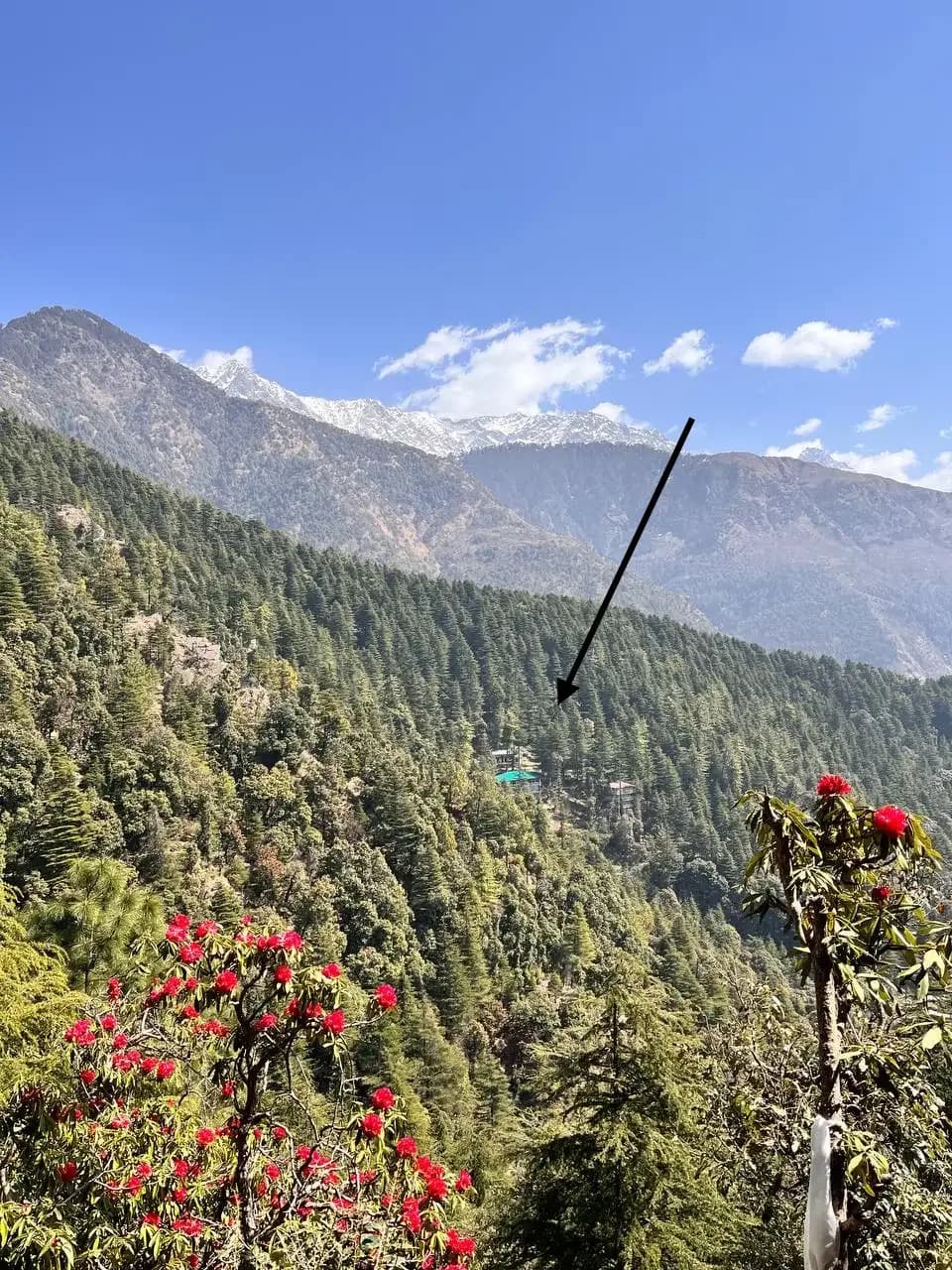 Dharamkot Studio retreat centre with pottery practice, forest views, and mountain studio life.
