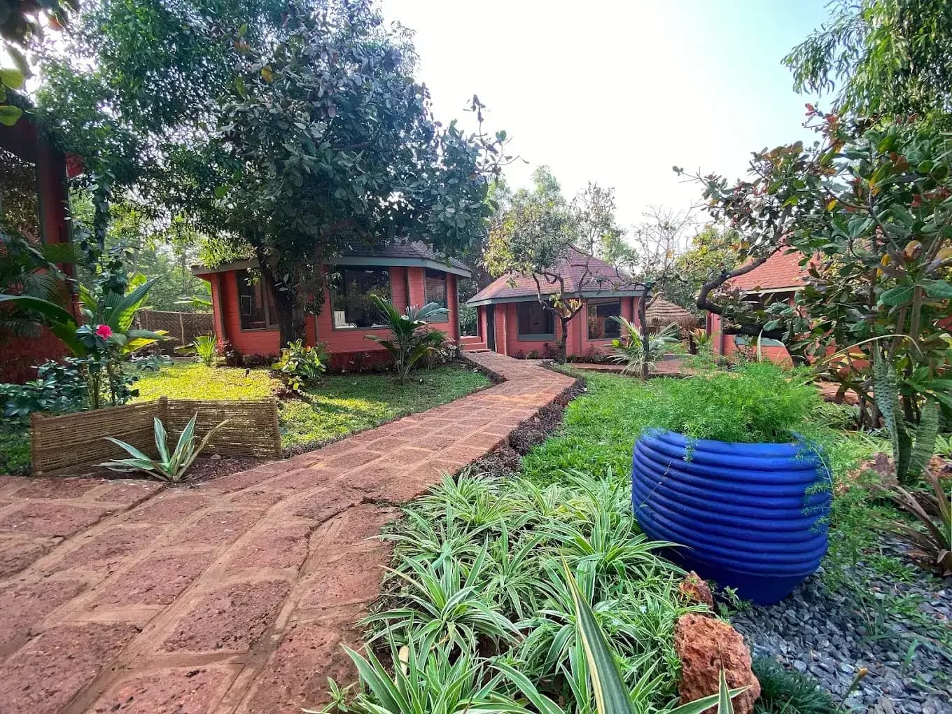 Dharamkot Studio Goa community art space and retreat sessions surrounded by greenery.