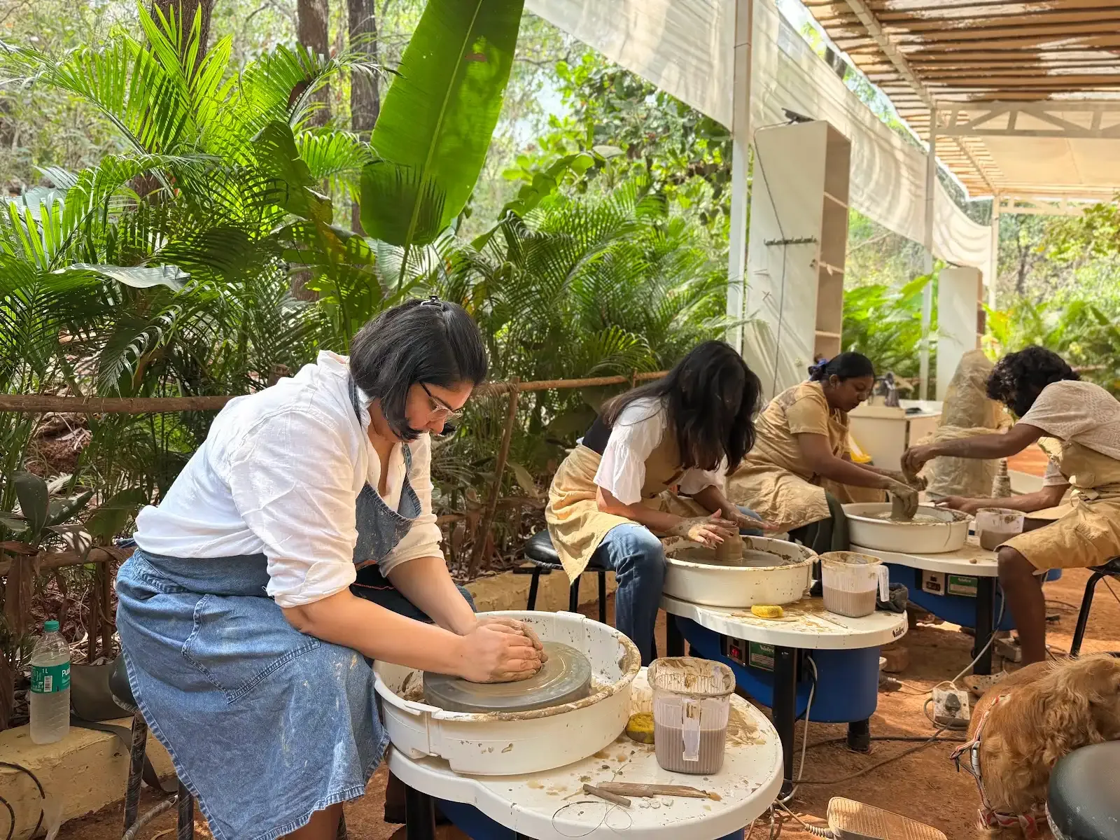 Dharamkot Studio Goa community art space and retreat sessions surrounded by greenery.