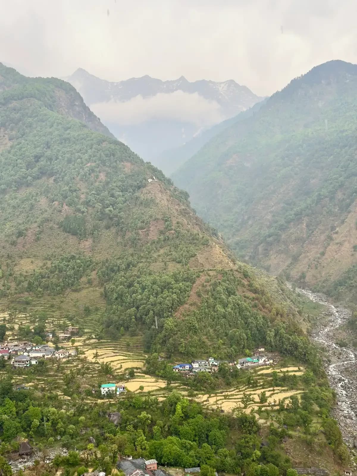 Dhauladhar mountain view near Dharamkot for the Himachal pottery retreat.