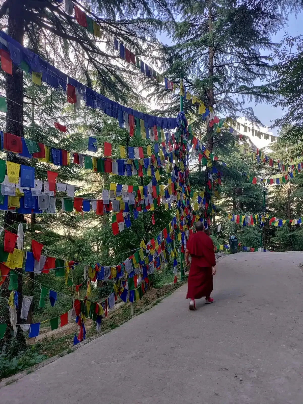 Prayer flags and village trail near Dharamkot Studio in Himachal Pradesh.