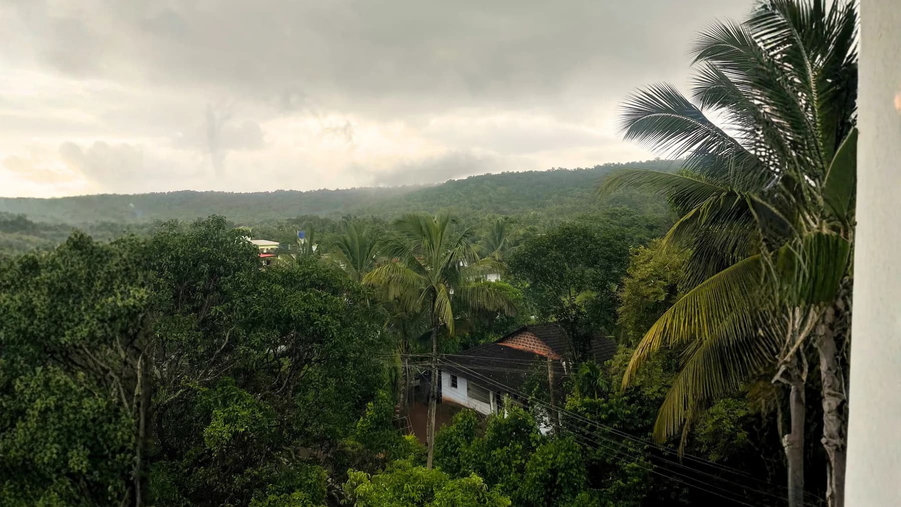 A calm tropical view around the Goa pottery retreat in Mandrem.