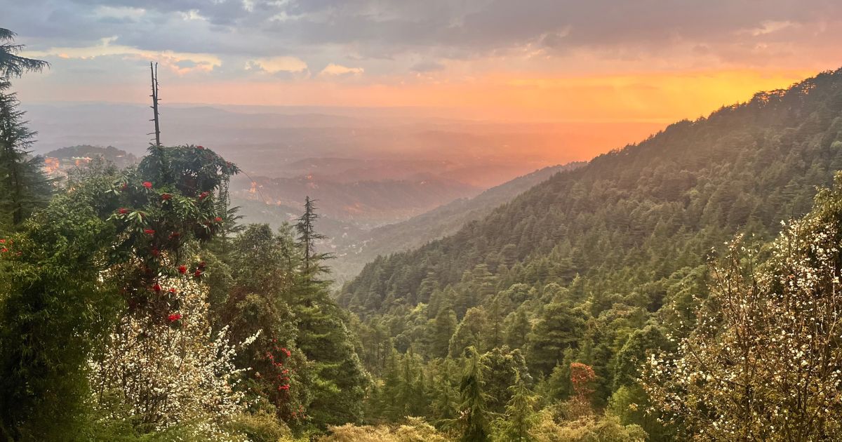 Dharamkot Studio’s programs